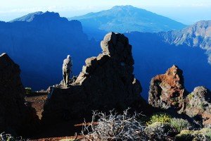 Fotografiando al amanecer