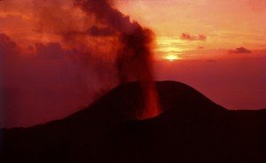 Nocturna Teneguia (1)